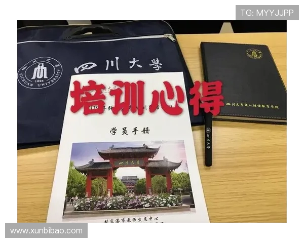 武汉攀岩队运营分析:成功经验与面临挑战的深度探讨